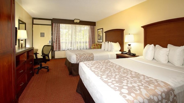 Standard Double Guestroom